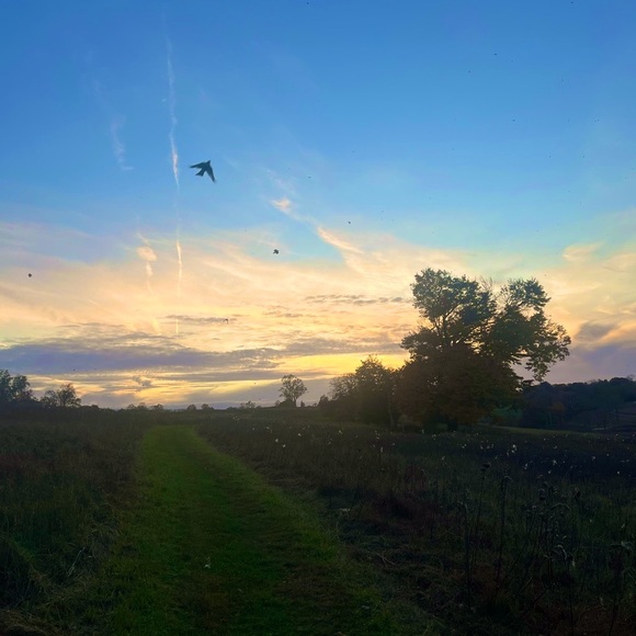 Meet your Posher, DevereauxCassie - Picture 5 of 12